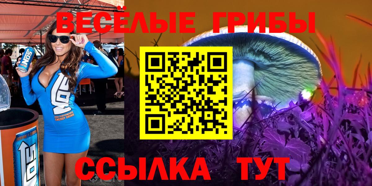 Псилоцибиновые грибы Psilocybine cubensis  Вход с VPN  Вышний Волочёк 